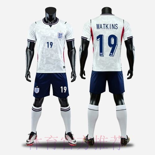 世界杯法国贝林厄姆赛事预测最新更新